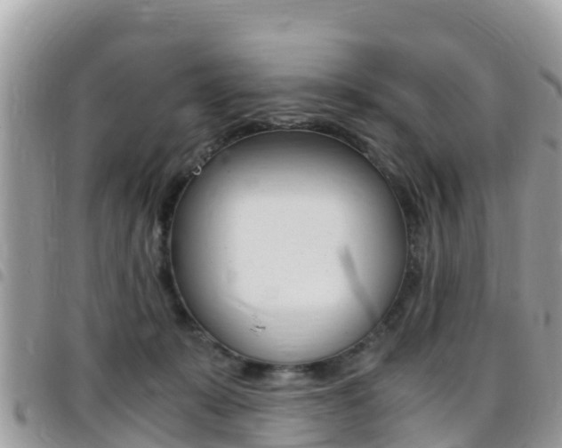 X0000096160319200801180857