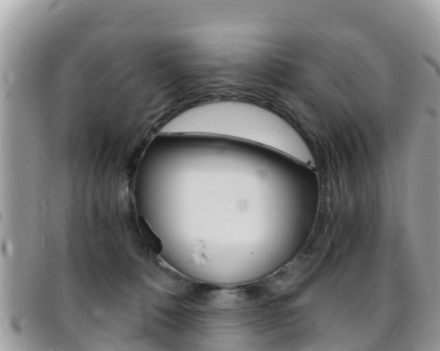 X0000096160320200801180857