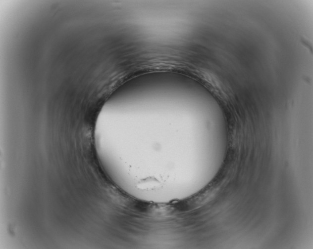 X0000096160321200801180857