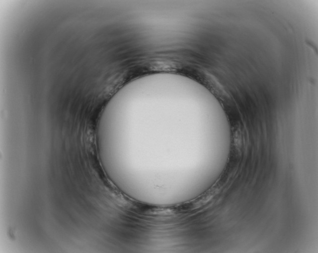 X0000096160322200801180857