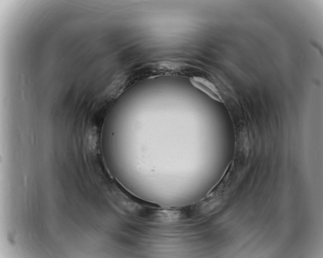 X0000096160328200801180857