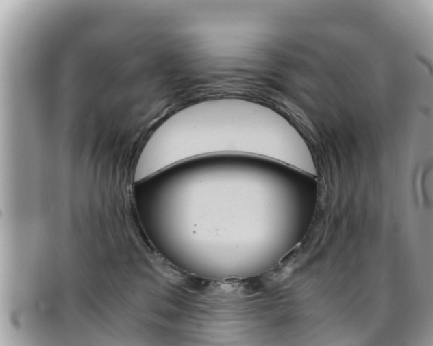 X0000096160329200801180857