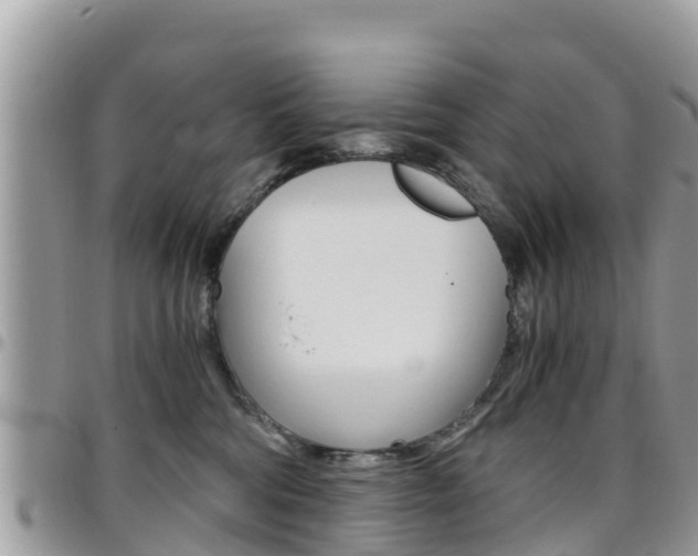 X0000096160330200801180857