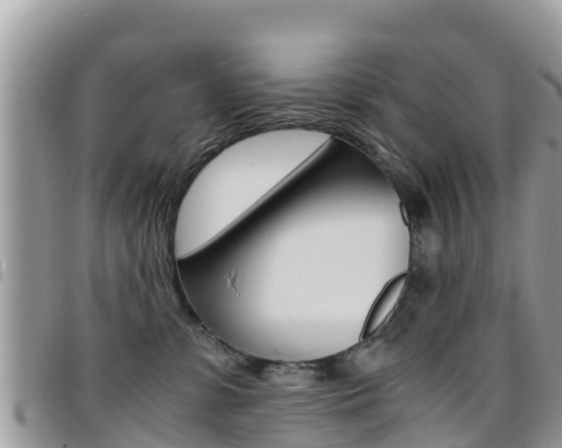 X0000096160331200801180857