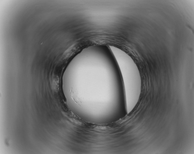 X0000096160332200801180857