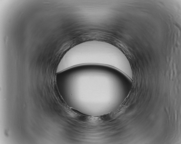 X0000096160333200801180857