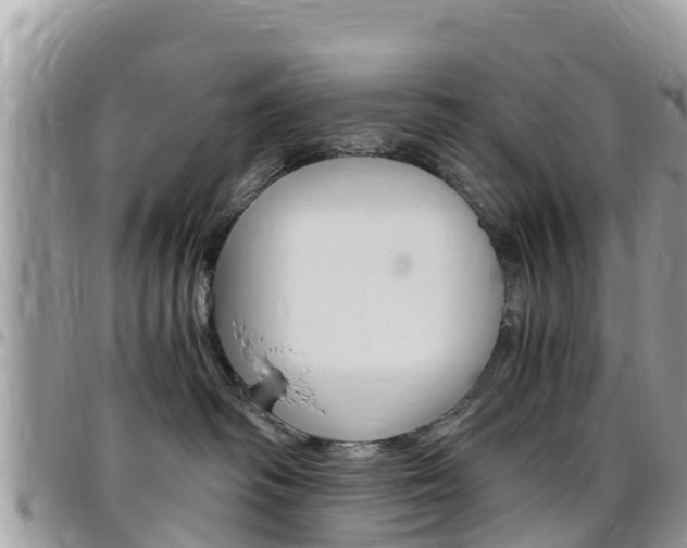 X0000096160334200801180857