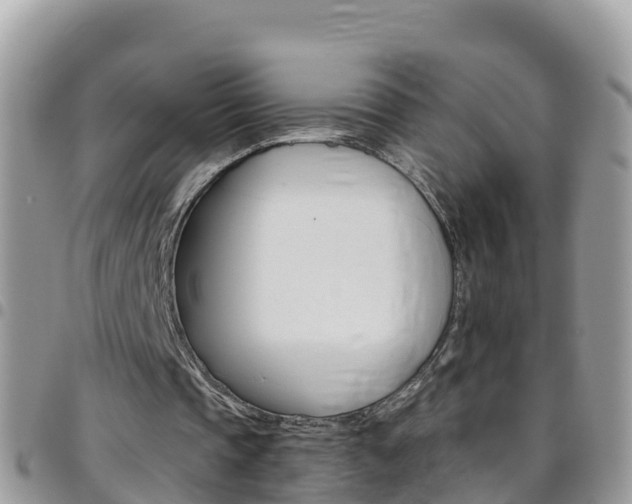 X0000096160337200801180856