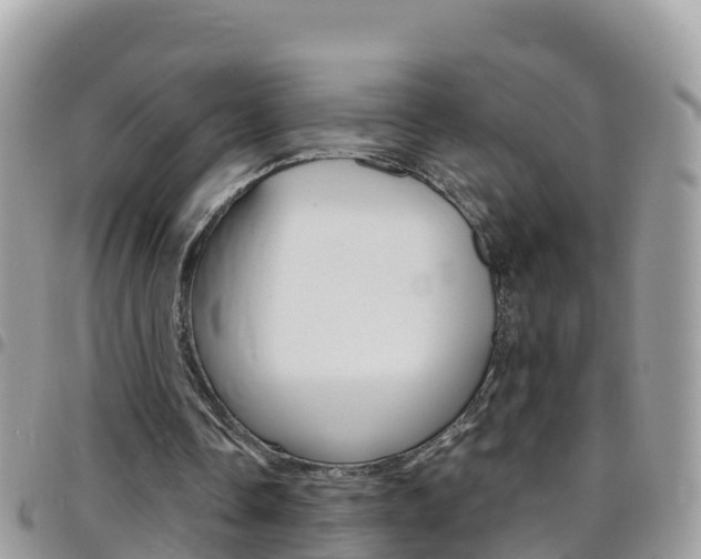 X0000096160338200801180856