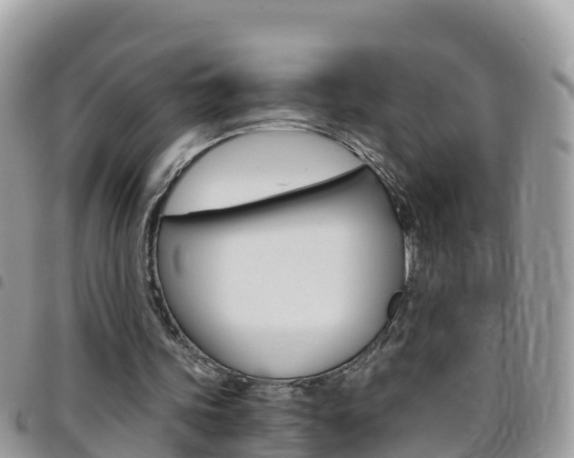 X0000096160339200801180856