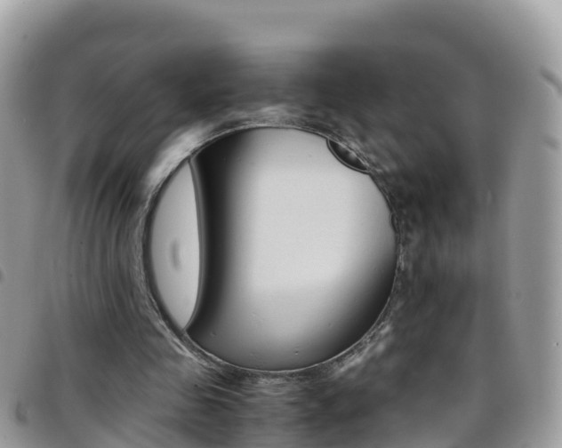 X0000096160341200801180856