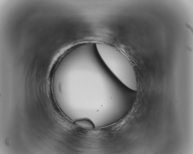 X0000096160342200801180856