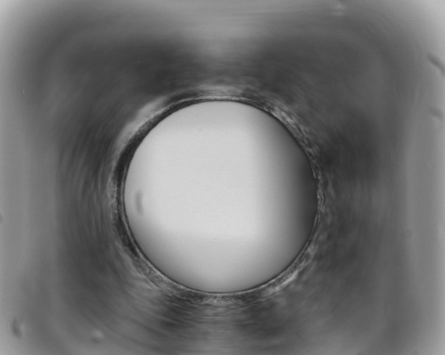X0000096160343200801180856