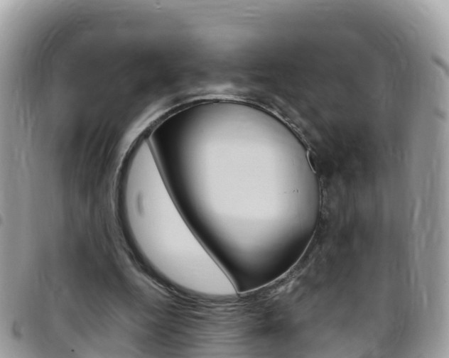 X0000096160344200801180856