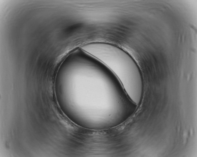 X0000096160345200801180856