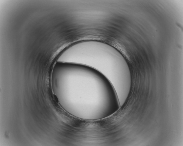 X0000096160348200801180856