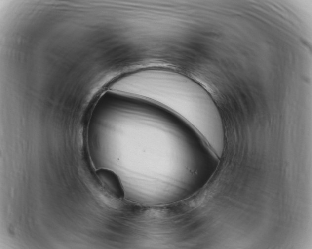 X0000096160350200801180856