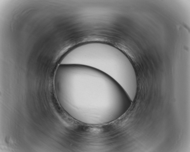 X0000096160352200801180856