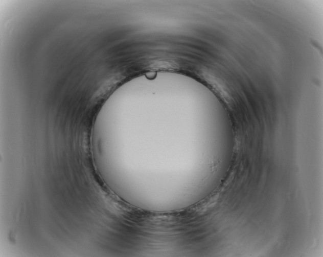 X0000096160353200801180856