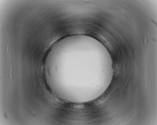 X0000096160355200801180856