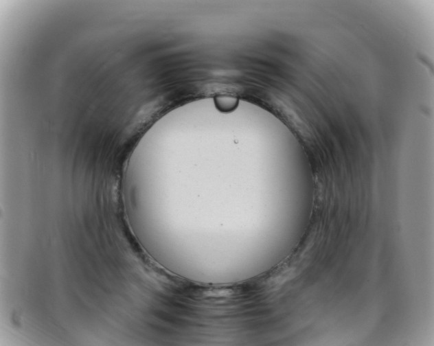 X0000096160357200801180856