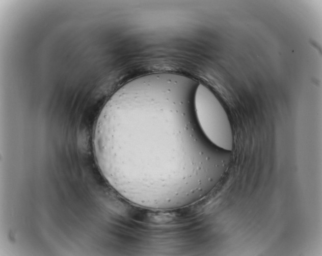 X0000096160359200801180856