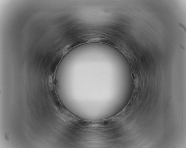 X0000096160360200801180856