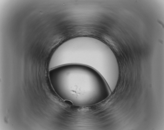 X0000096160362200801180856