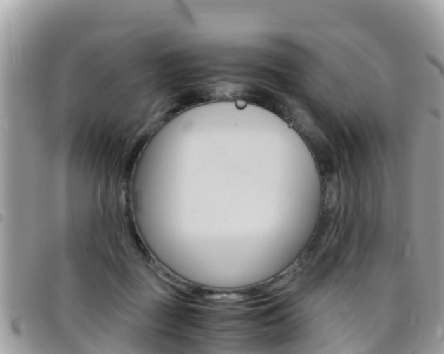 X0000096160363200801180856