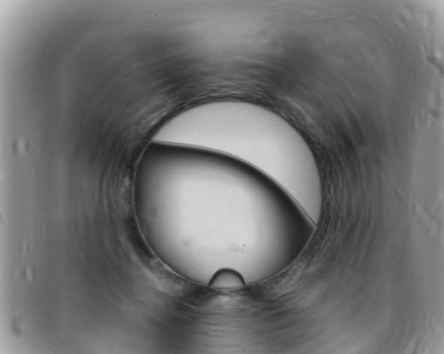 X0000096160364200801180856