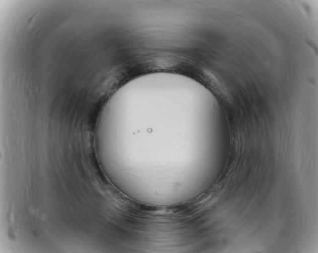 X0000096160366200801180856