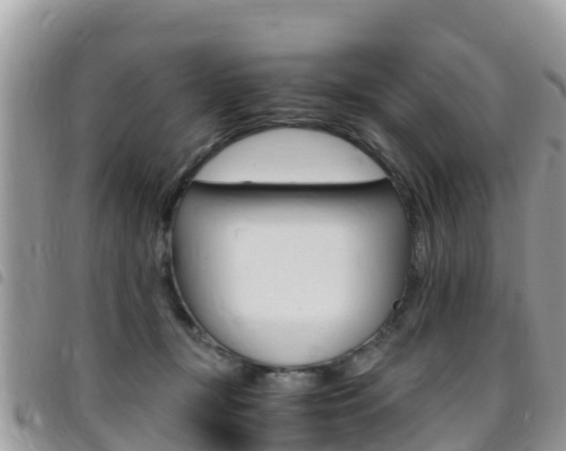 X0000096160367200801180856