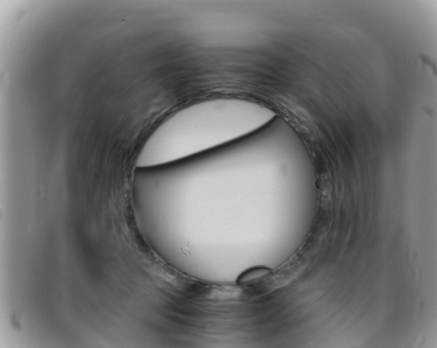 X0000096160369200801180856