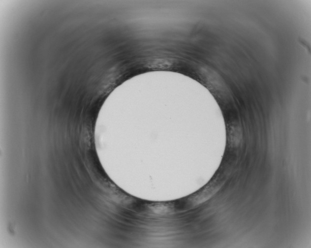 X0000096160370200801180856