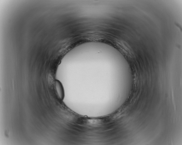 X0000096160371200801180856