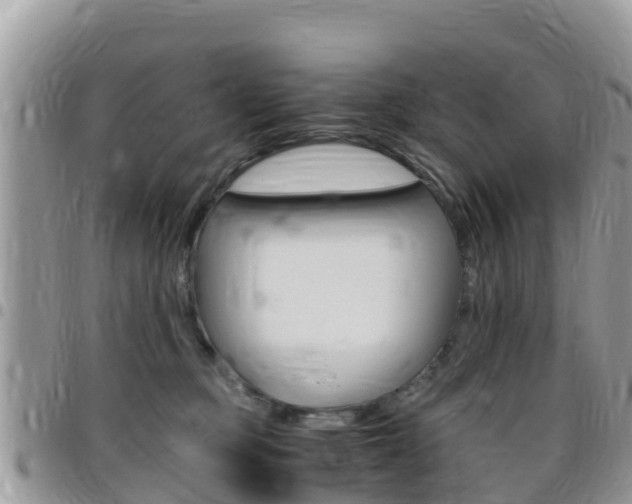 X0000096160373200801180856