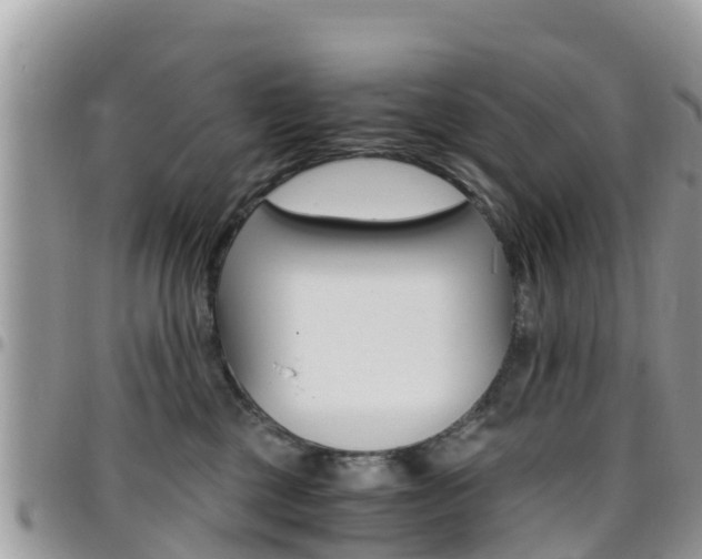 X0000096160377200801180856