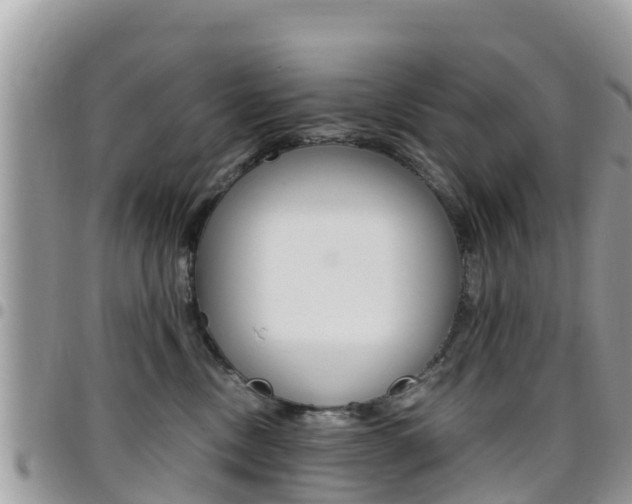 X0000096160378200801180857