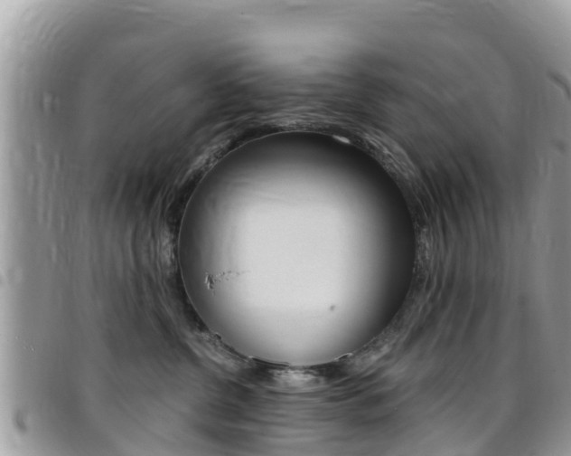 X0000096160380200801180857