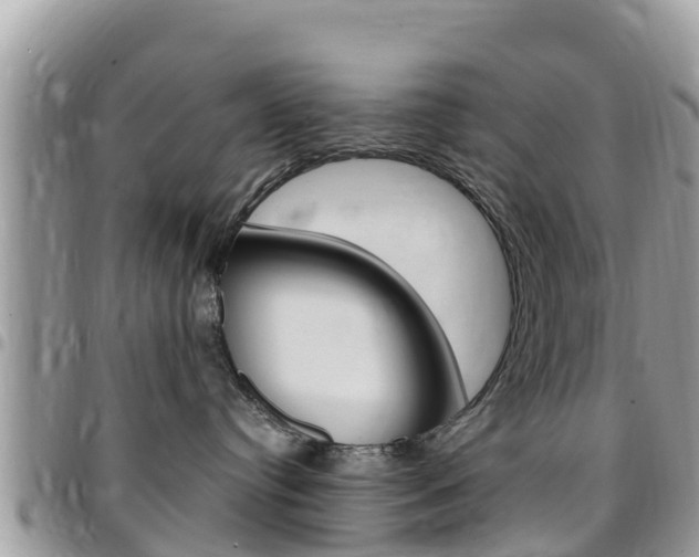 X0000096160384200801180857