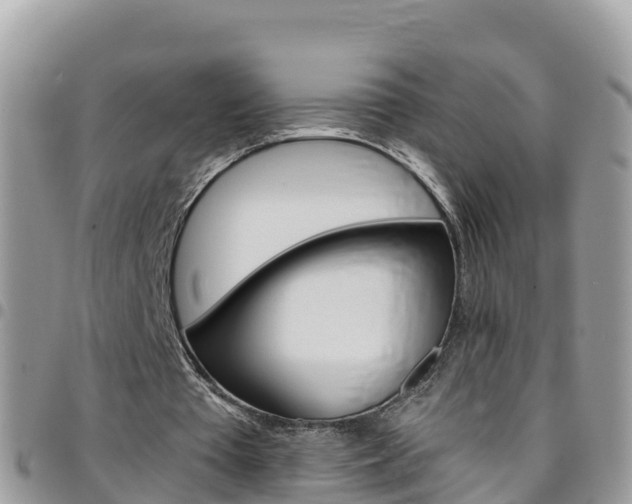 X0000096160385200801180856