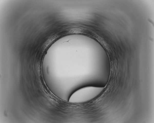X0000096160386200801180856