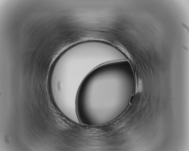 X0000096160387200801180856