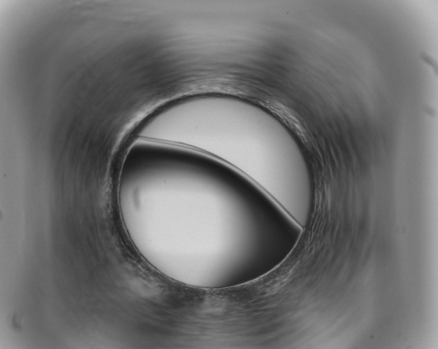 X0000096160388200801180856