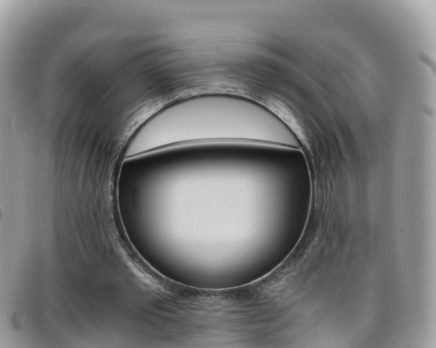 X0000096160389200801180856