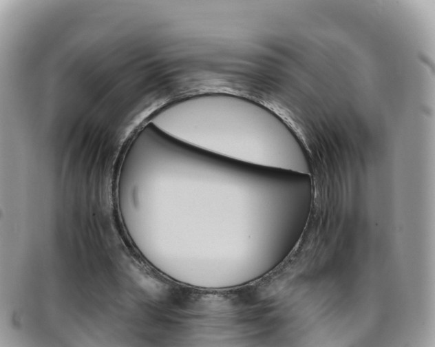 X0000096160390200801180856