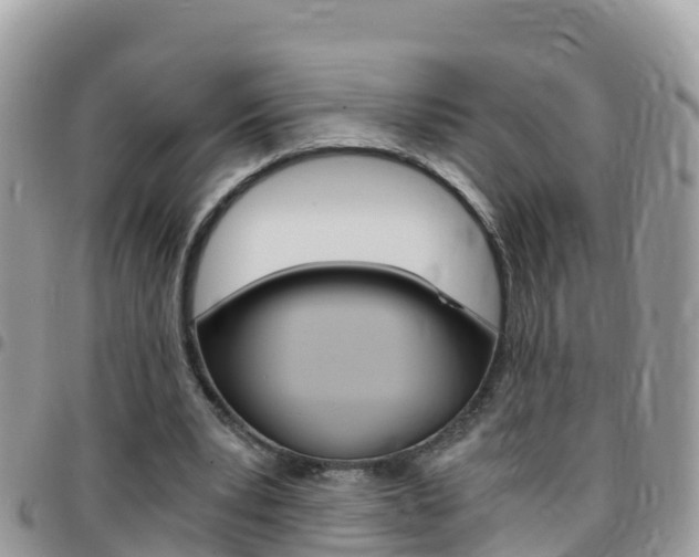 X0000096160391200801180856