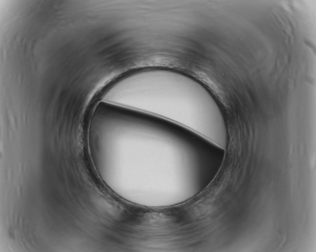 X0000096160392200801180856