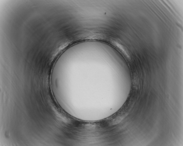 X0000096160394200801180856