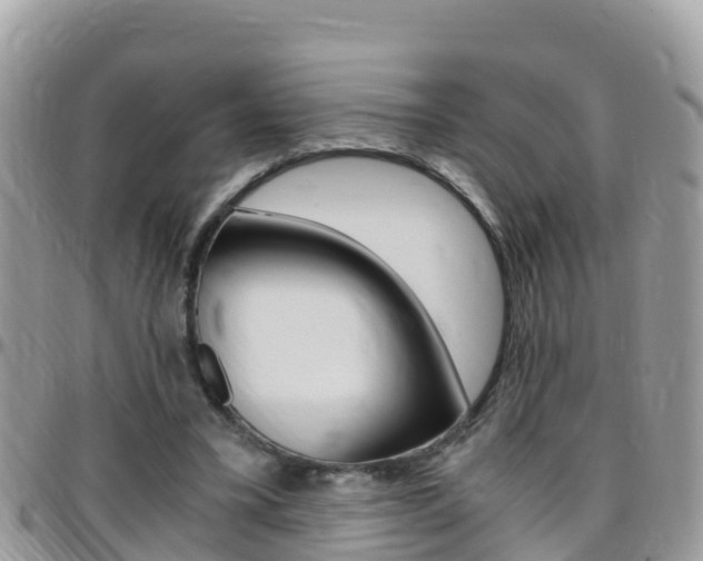 X0000096160395200801180856